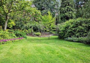 Optimiser l'expérience du jardin à Calavante