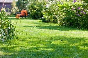 travaux jardin et paysage Calavante